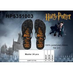 HARRY POTTER TONGS HOMME